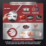 ChangBERT Commercial Portable Induction Cooktop 3200W