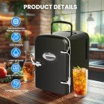 Compact 4L Portable Mini Fridge Warmer & Cooler