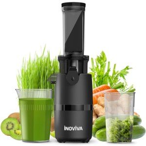 Compact Cold Press Juicer for Fruits and Veggies