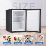 Kismile 2.1 Cu.ft Stainless Steel Mini Freezer
