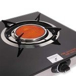 Barton Deluxe 2 Burner Propane Gas Camping Stove