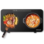 ONNASE 1800W Double Induction Cooktop with Timer