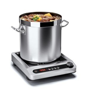 1800W Professional Induction Cooktop with Timer