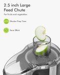 SiFENE Compact Centrifugal Juicer for Fruits & Veggies
