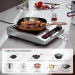 1800W Professional Induction Cooktop with Timer