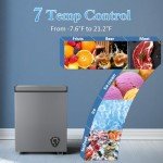 Compact Chest Freezer with Adjustable Temperature and Basket