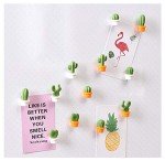Cactus Decorative Refrigerator Magnets Set (12 Pcs)