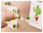 Cactus Decorative Refrigerator Magnets Set (12 Pcs)