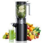 Slow Masticating Cold Press Juicer with Large Chute