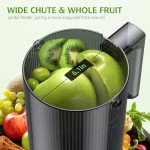 Slow Masticating Cold Press Juicer with Large Chute