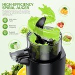 Slow Masticating Cold Press Juicer with Large Chute