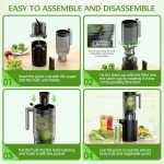 Slow Masticating Cold Press Juicer with Large Chute