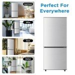 HAILANG Mini Fridge with Bottom Freezer - 4.0 Cu.Ft