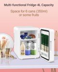 NISHCON 4L Mini Fridge for Skincare with Mirror
