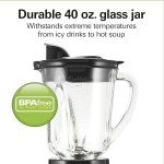 Hamilton Beach Wave Action Blender with Travel Jar