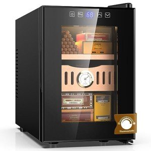 18L Electric Fridge with Digital Hygrometer & LED Screen