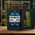 18L Electric Fridge with Digital Hygrometer & LED Screen
