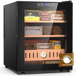 50L Thermostatic Electric Fridge with Digital Control