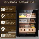 50L Thermostatic Electric Fridge with Digital Control
