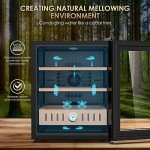 50L Thermostatic Electric Fridge with Digital Control