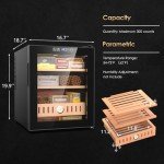 50L Thermostatic Electric Fridge with Digital Control