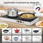 Olayks 2-Burner Induction Cooktop with Griddle Pan