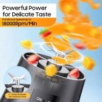 Personal Portable Blender for Shakes and Smoothies