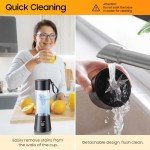 Personal Portable Blender for Shakes and Smoothies