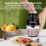 Wancle Multi-Functional Food Processor and Chopper