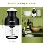 Wancle Multi-Functional Food Processor and Chopper