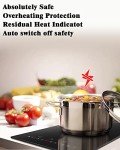 Karinear 12" Induction Cooktop with 2 Burners