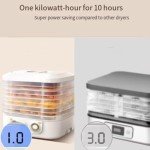 Home Food Freeze Dryer for Snacks and Candy
