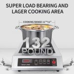 Leconchef Commercial Induction Cooktop with Timer
