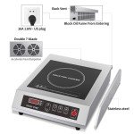 Leconchef Commercial Induction Cooktop with Timer