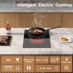 Compact 2 Burner Electric Cooktop with Touch Control