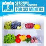 NonScents Refrigerator Deodorizer - Long-Lasting Odor Eliminator