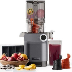 Anybear 200W Cold Press Masticating Juicer
