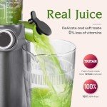 Anybear 200W Cold Press Masticating Juicer