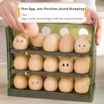 2024 Two-Tier Egg Holder for Fridge Storage