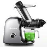 Quiet Masticating Juicer with Large Feed Chute
