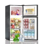 BANGSON Compact Refrigerator with Freezer - 4.0 Cu.Ft