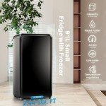 Kismile Retro Mini Fridge with Freezer - Black