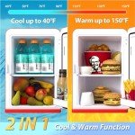 Portable Mini Fridge for Bedroom and Office
