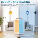 HealSmart 4L Portable Mini Fridge for Skincare
