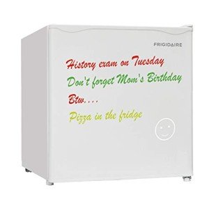 Frigidaire 1.6 Cu Ft Compact Dorm Fridge