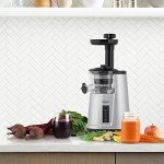 Omega JC3000SV13 Compact Cold Press Juicer