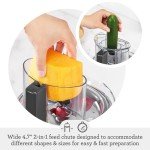 Breville Paradice 9-Cup Food Processor, Stainless Steel