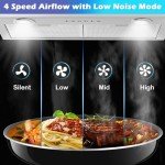 ONEEON 24" Stainless Steel Range Hood Insert