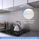 ONEEON 24" Stainless Steel Range Hood Insert