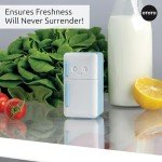 OTOTO Fridge Deodorizer - Cute Baking Soda Holder